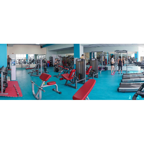 Impulse IFSPC парта для бицепса (скамья Скотта)
